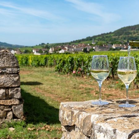 Charmante Maison Climatisee Avec Son Jardin A 10 Minutes De Dijon Marsannay-la-Côte Extérieur photo