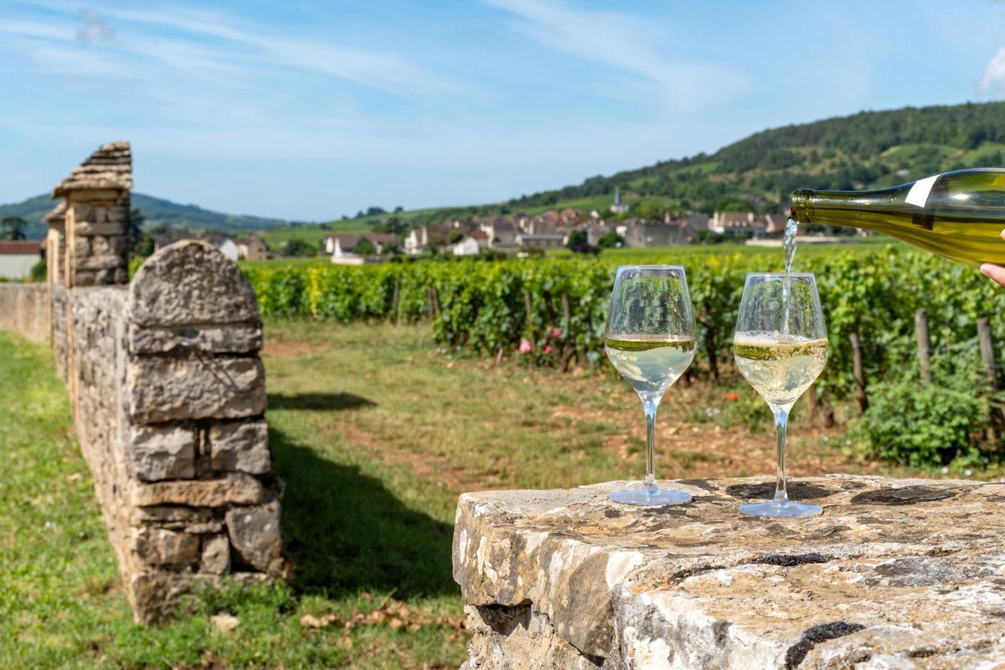 Charmante Maison Climatisee Avec Son Jardin A 10 Minutes De Dijon Marsannay-la-Côte Extérieur photo